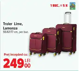 Carrefour Troler Lime, Lamonza Ofertă