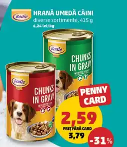 Penny Bodie Hrană umedă câini Ofertă