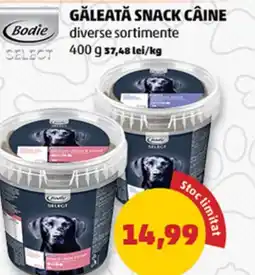 Penny Bodie Găleată snack câine Ofertă