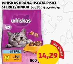 Penny Whiskas hrană uscată pisici sterile/junior pui Ofertă