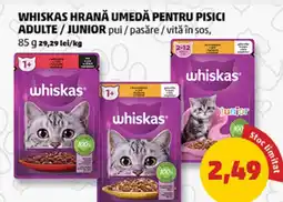 Penny Whiskas hrană umedă pentru pisici adulte / junior pui/pasăre/vită în sos Ofertă
