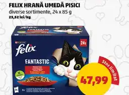 Penny Felix hrană umedă pisici Ofertă