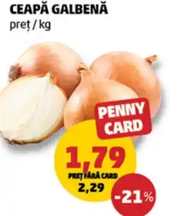 Penny Ceapă galbenă Ofertă