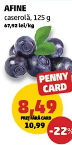 Penny Afine Ofertă