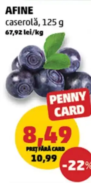 Penny Afine Ofertă