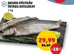 Penny Negro păstrăv întreg eviscerat Ofertă