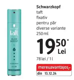 DM Schwarzkopf taft fixativ pentru păr Ofertă
