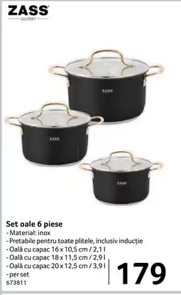 Selgros ZASS Set oale Ofertă