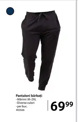 Selgros Pantaloni bărbați Ofertă