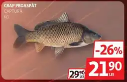 Auchan Crap proaspăt captură Ofertă