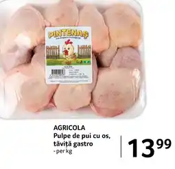 Selgros AGRICOLA Pulpe de pui cu os, tăviţă gastro Ofertă