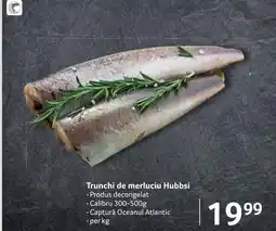 Selgros Trunchi de merluciu Hubbsi Ofertă