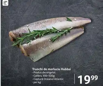 Selgros Trunchi de merluciu Hubbsi Ofertă