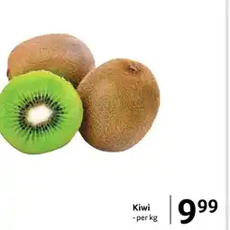 Selgros Kiwi Ofertă