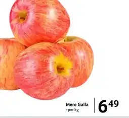 Selgros Mere Galla Ofertă