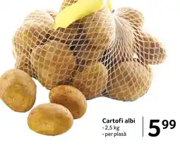 Selgros Cartofi albi Ofertă