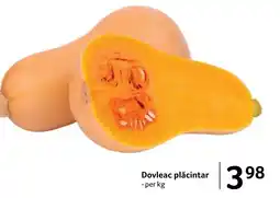 Selgros Dovleac plăcintar Ofertă