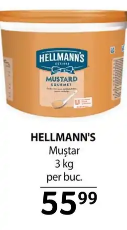 Selgros HELLMANN'S Muştar Ofertă