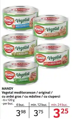 Selgros MANDY Vegetal mediteranean / original / cu ardei gras / cu măsline / cu ciuperci Ofertă