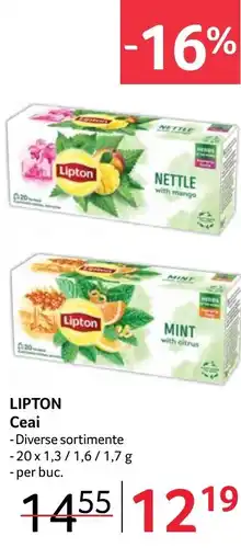 Selgros LIPTON Ceai Ofertă