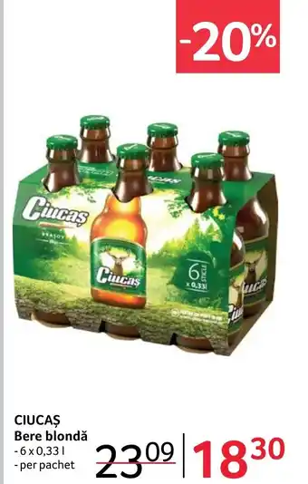 Selgros CIUCAȘ Bere blondǎ Ofertă