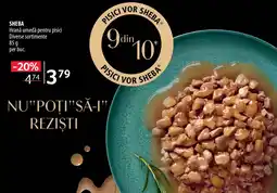 Selgros SHEBA Hrană umedă pentru pisici Ofertă