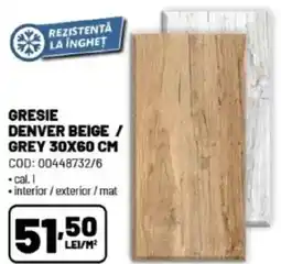 Ambient Gresie denver beige / grey Ofertă