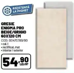 Ambient Gresie enigma pro beige/grigio Ofertă