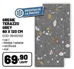 Ambient Gresie terazzo grey Ofertă