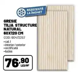 Ambient Gresie tilia structure natural Ofertă