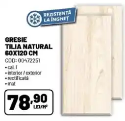 Ambient Gresie tilia natural Ofertă