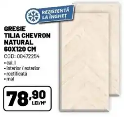 Ambient Gresie tilia chevron natural Ofertă
