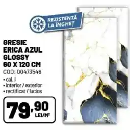 Ambient Gresie erica azul glossy Ofertă