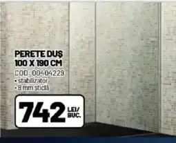 Ambient Perete duş Ofertă