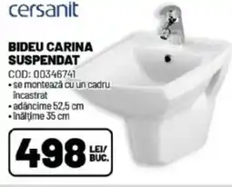 Ambient Bideu carina suspendat Ofertă