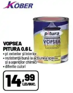 Ambient KÖBER Vopsea pitura Ofertă
