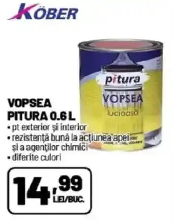 Ambient KÖBER Vopsea pitura Ofertă