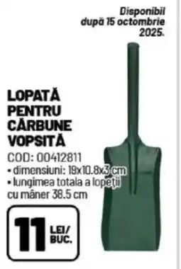 Ambient Lopată pentru cărbune vopsită Ofertă