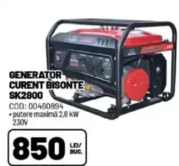 Ambient Generator curent bisonte sk2800 Ofertă