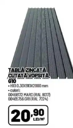 Ambient Tabla zincata cutată vopsità, g10 Ofertă