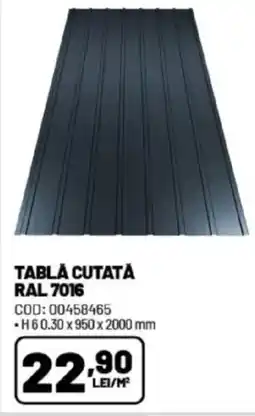 Ambient Tabla cutată ral 7016 Ofertă
