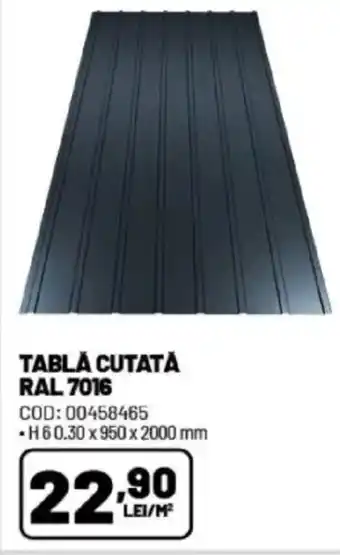 Tabla cutată ral 7016