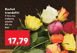 Kaufland Buchet trandafiri Ofertă
