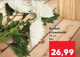 Kaufland Buchet crizanteme Ofertă