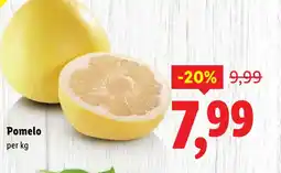 Lidl Pomelo Ofertă