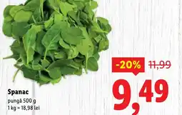 Lidl Spanac Ofertă