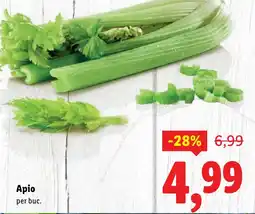 Lidl Apio Ofertă