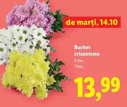 Lidl Buchet crizanteme Ofertă