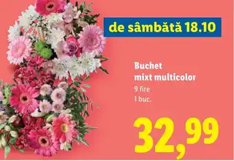Lidl Buchet mixt multicolor Ofertă
