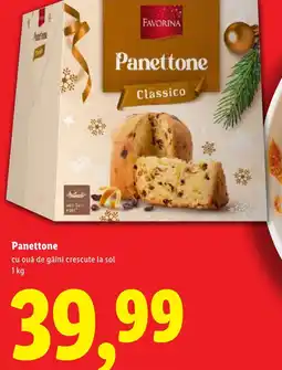 Lidl Panettone Ofertă